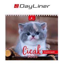 Naptár, asztali, álló, DAYLINER "Cicák"