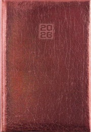 Naptár, tervező, A5, heti, DAYLINER, "Mirror", bronz
